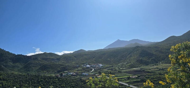 Tenerife: Coastal Sights to Woodland Heights Quad Tour - Value and Pricing