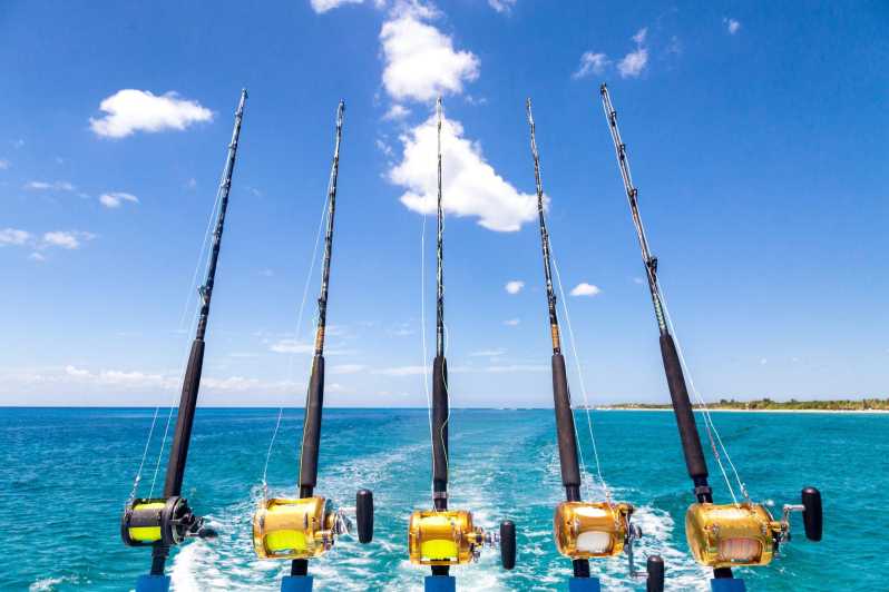 Tenerife: Deep Sea Fishing Private Charter - Experience and Highlights