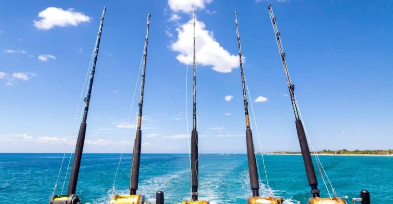 Tenerife: Deep Sea Fishing Private Charter - Boat and Equipment