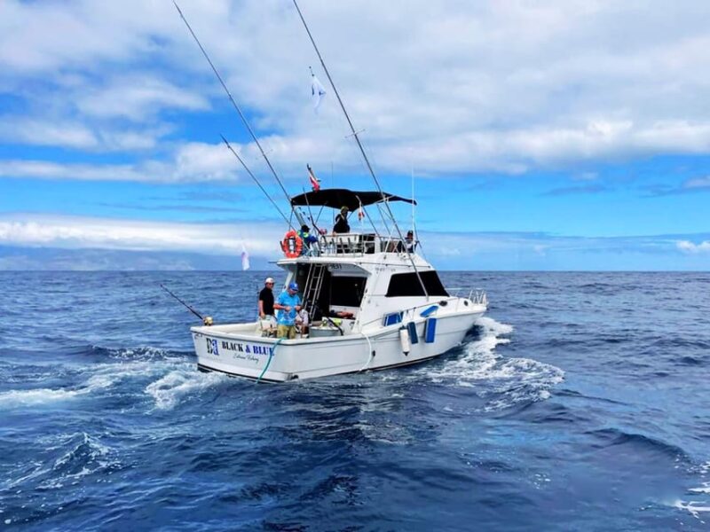 Tenerife: Deep Sea Fishing Private Charter - Meeting Point