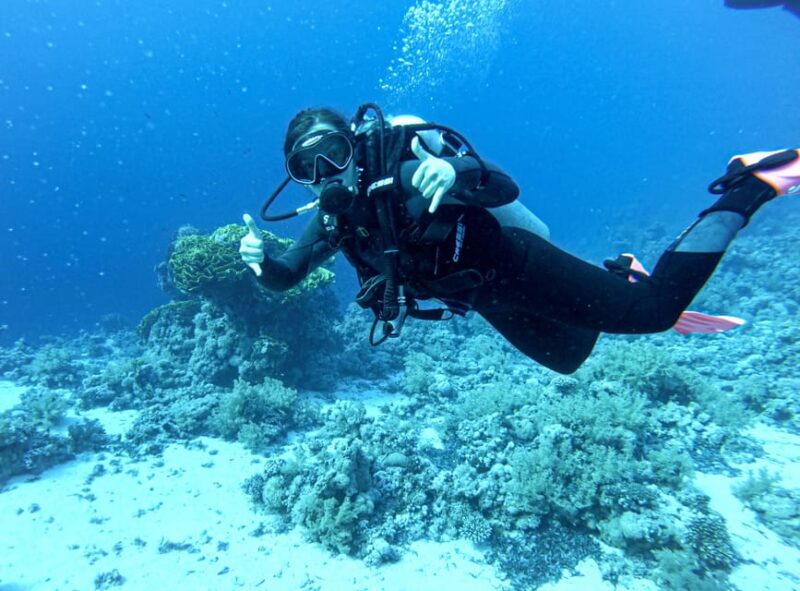 Tenerife - Discover Scuba Diving Experience With Instructor - Safety Briefing and Theory Session