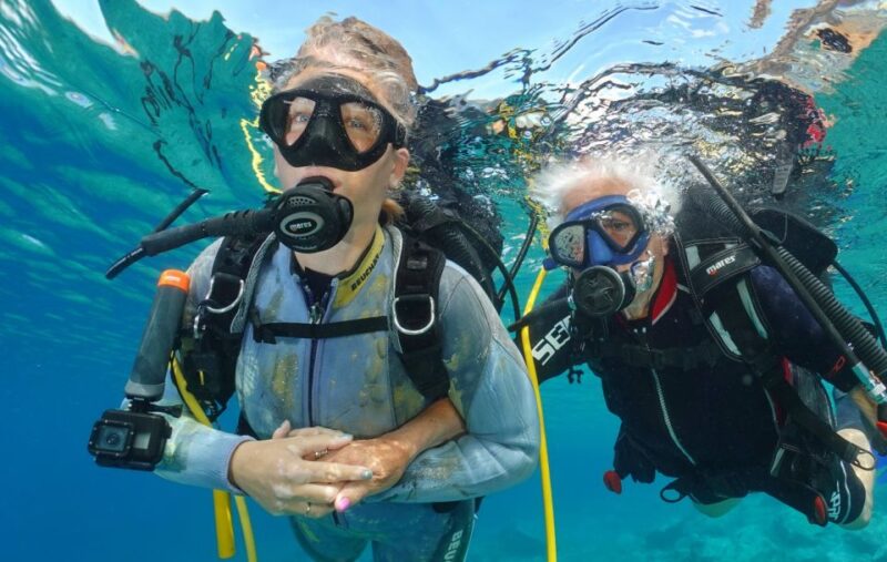 Tenerife: Diving License in One Day - Cancellation and Transport