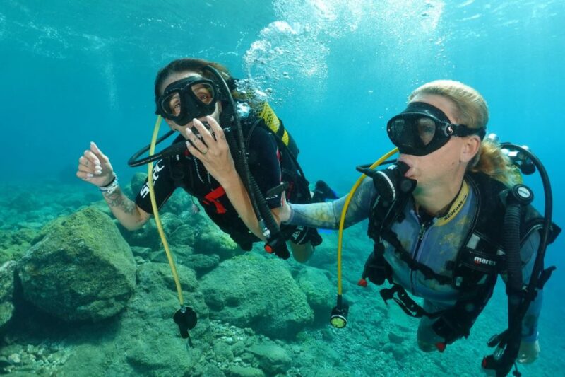 Tenerife: Diving License in One Day - Participant Requirements