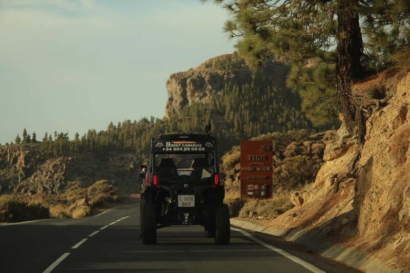 Tenerife: Family 4seats Buggy Tour of Teide - An In-Depth Look at the Tour Experience