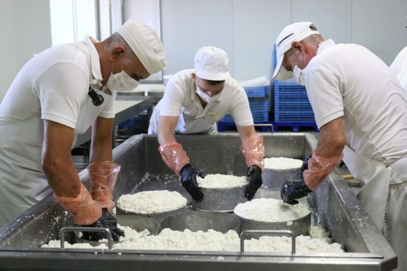 Tenerife - Farm Tour With Cheese Tasting - Schedule and Availability