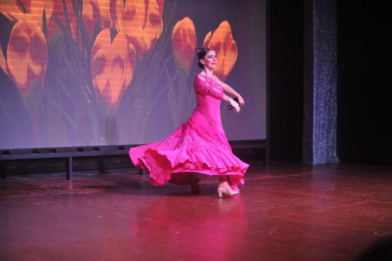 Tenerife: Flamenco Performance at Teatro Coliseo - Key Points