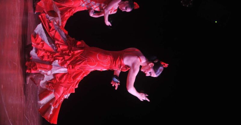 Tenerife: Flamenco Performance at Teatro Coliseo - A Deep Dive into the Flamenco Experience