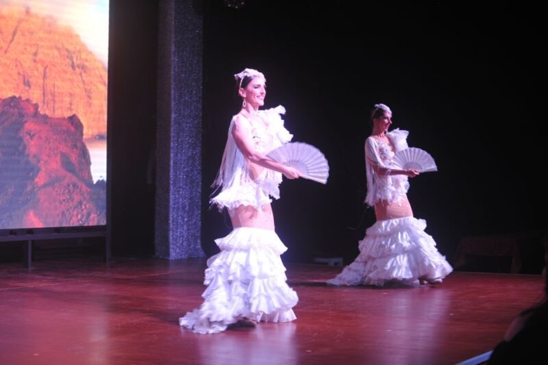 Tenerife: Flamenco Performance at Teatro Coliseo - Who Is This Tour Best For?
