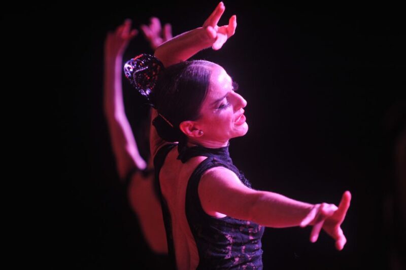 Tenerife: Flamenco Performance at Teatro Coliseo - Final Thoughts