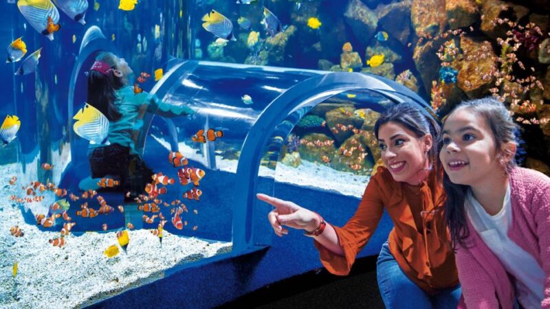 Tenerife: Gran Canaria Full-Day Guided Tour With Aquarium - Destilería Arehucas: Rum Production and History
