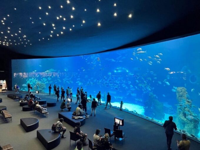 Tenerife: Gran Canaria Full-Day Guided Tour With Aquarium - Included Amenities: Transfers, Tickets, and Guided Tours