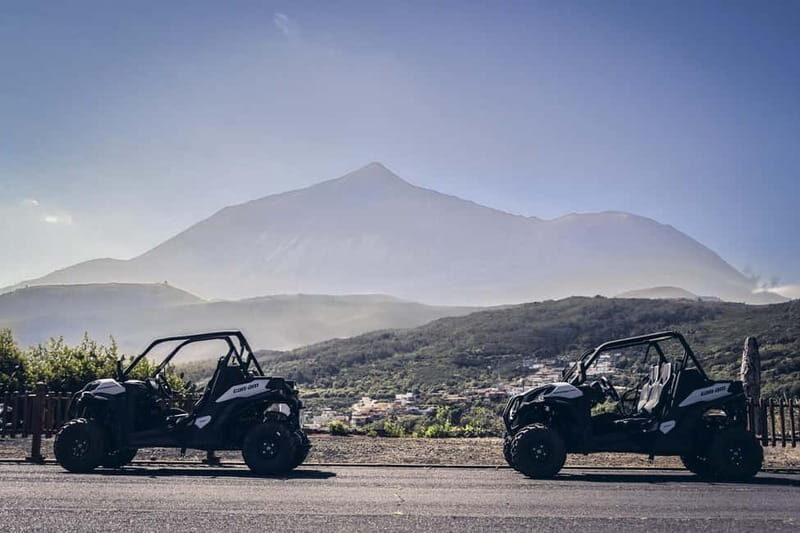Tenerife: Guided Buggy Discovery Tour around Mount Teide - What Makes This Tour Special