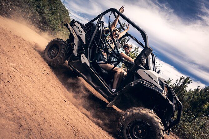 Tenerife Guided Buggy Discovery Tour Around Mount Teide - A Practical Look at the Tenerife Buggy Tour