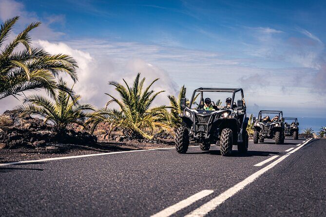 Tenerife Guided Buggy Discovery Tour Around Mount Teide - The Itinerary: A Breakdown of Highlights and What to Expect