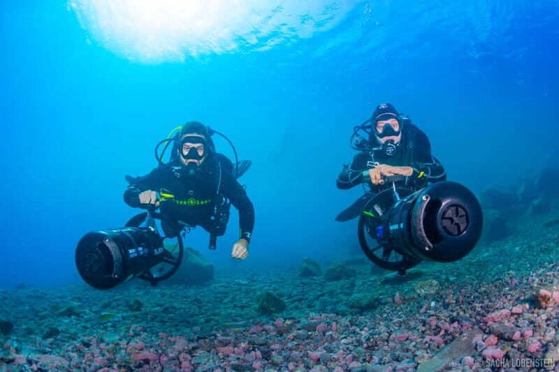 Tenerife: Guided Dive and Scooter Experience - The Value of This Experience