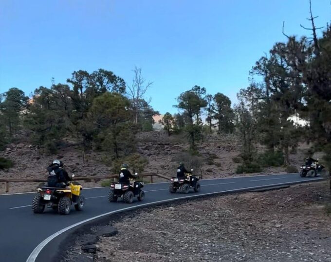 Tenerife: Guided Off-Road Quad Tour on Mount Teide - Customer Feedback and Ratings