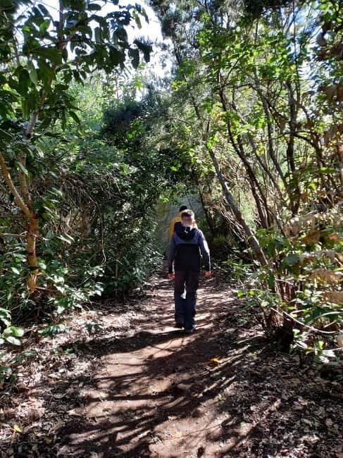 Tenerife: Guided tour guide in the Anaga Rural Park - Exploring Anaga Rural Park: What to Expect