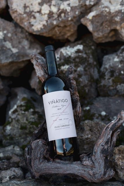Tenerife: Guided tour with tasting of 6 wines - Authenticity and Authentic Experience