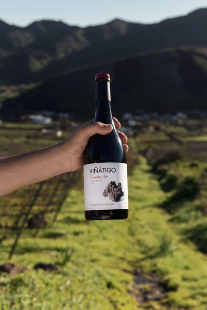 Tenerife: Guided tour with tasting of 6 wines - Who Will Love This Tour?