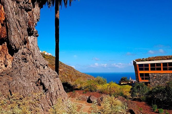 Tenerife Highlights Full-Day Tour - Professional Guide Accompaniment