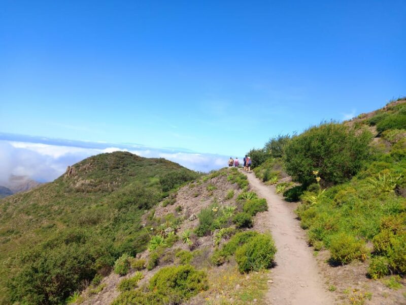 Tenerife: Hiking Above the Village of Masca - Hiking Experience