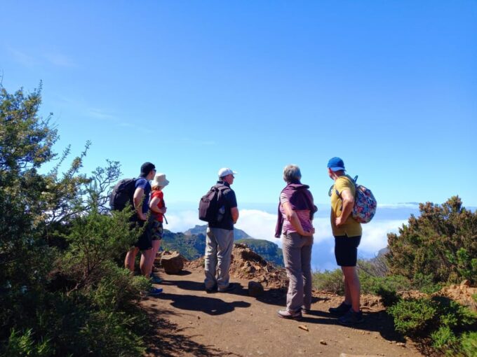 Tenerife: Hiking Above the Village of Masca - Refund Policy