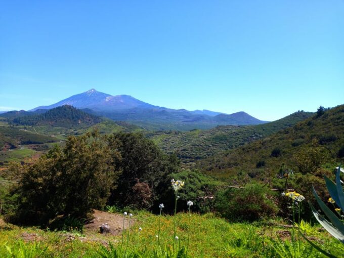 Tenerife: Hiking Above the Village of Masca - Customer Reviews