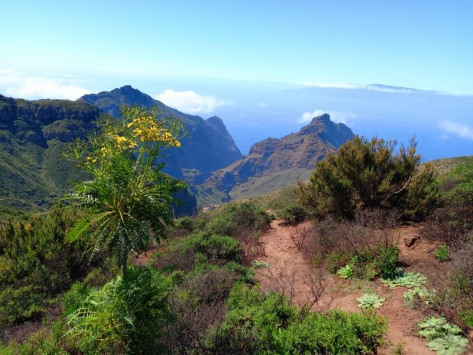 Tenerife: Hiking Above the Village of Masca - Getting to Masca