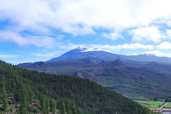 Tenerife: Hiking Through Enchanted Laurel Forest Above Masca - Customer Reviews and Feedback