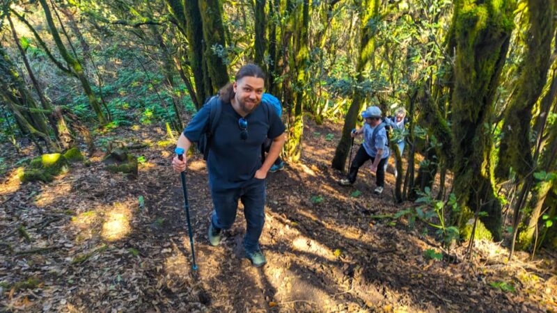 Tenerife: Hiking Tour Above Masca & Enchanted Forest - Pickup and Itinerary