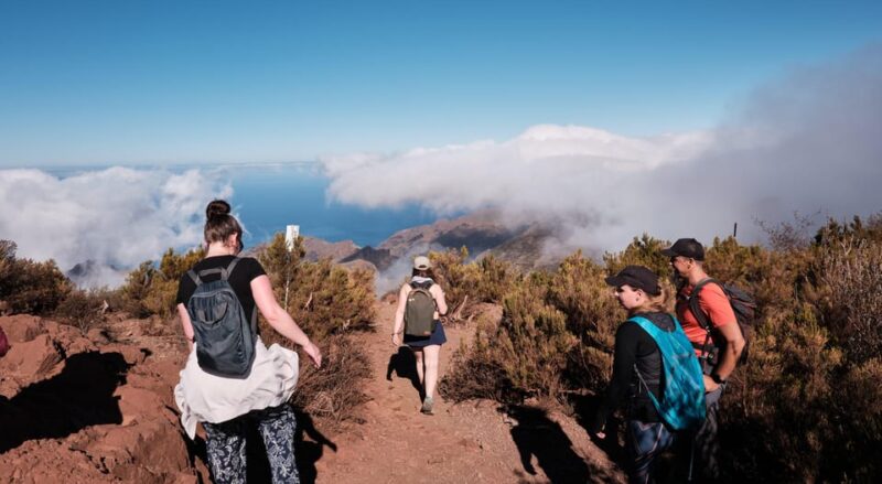 Tenerife: Hiking Tour Above Masca & Enchanted Forest - Hiking Experience