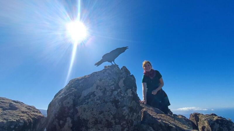 Tenerife: Hiking Tour Above Masca & Enchanted Forest - Traveler Reviews and Highlights