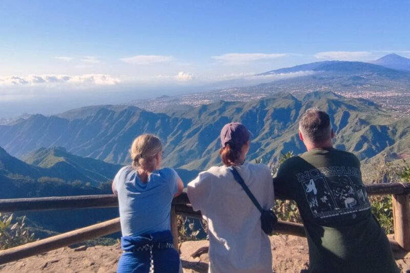 Tenerife: Hiking Tour in Anaga Mountains and Laurel Forest - Customer Reviews and Ratings