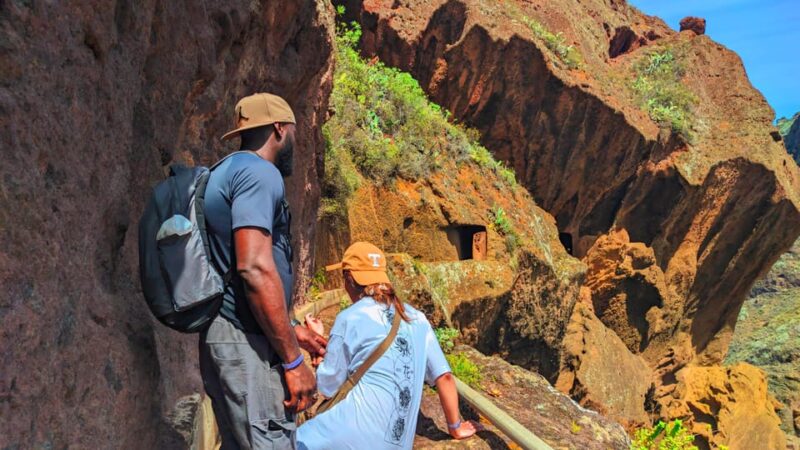 Tenerife: Hiking Tour in Anaga Mountains & Enchanted Forest - Key Points