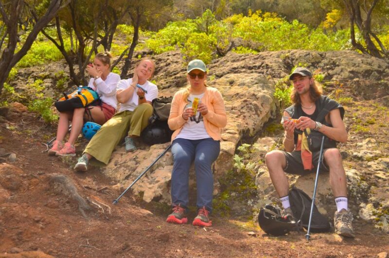 Tenerife: Hiking Tour in Anaga Mountains & Enchanted Forest - Itinerary Highlights