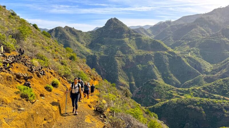 Tenerife: Hiking Tour in Anaga Mountains & Enchanted Forest - Customer Reviews and Feedback