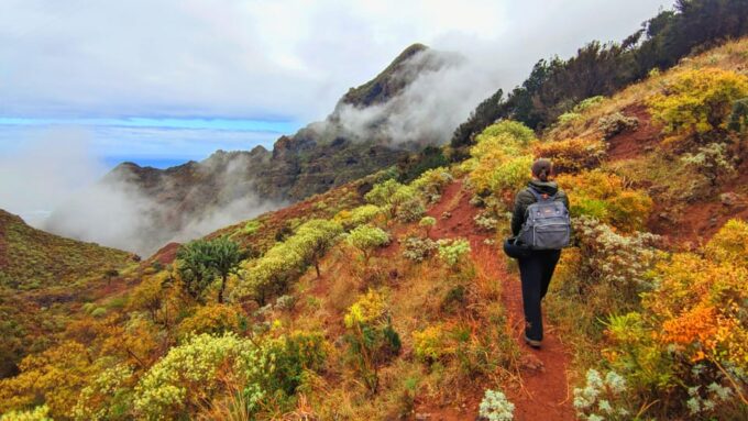 Tenerife: Hiking Tour in Anaga Mountains & Enchanted Forest - Exploring the Anaga Mountains