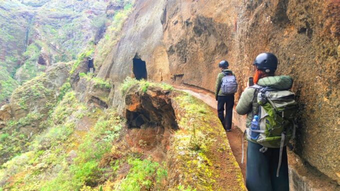 Tenerife: Hiking Tour in Anaga Mountains & Enchanted Forest - Discovering the Enchanted Forest