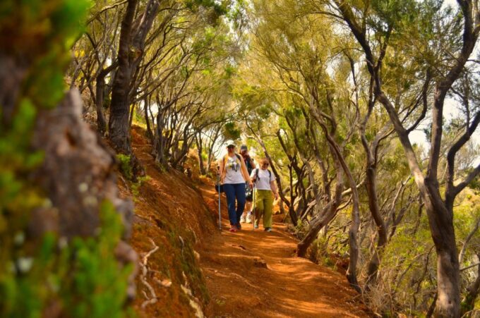 Tenerife: Hiking Tour in Anaga Mountains & Enchanted Forest - Frequently Asked Questions