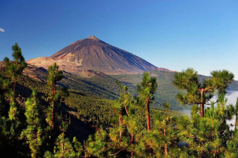 Tenerife: Jet Ski Tour With Option for Quad Trip - Key Points