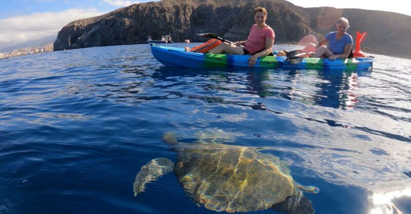 Tenerife: Kayak and Snorkel With Turtles - Good To Know