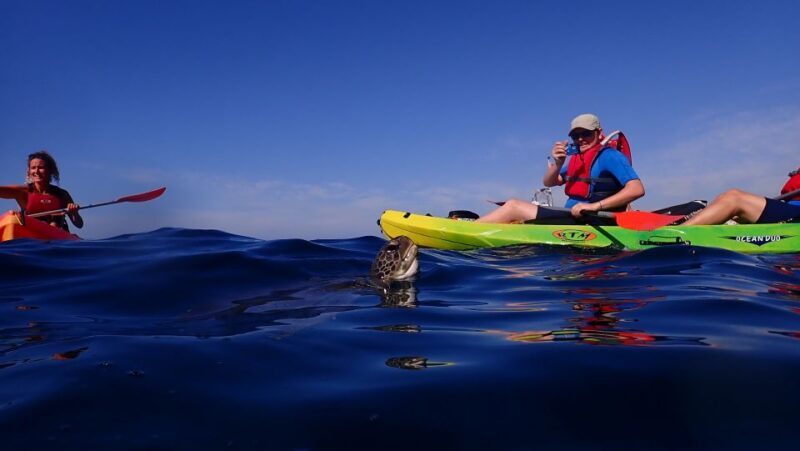 Tenerife: Kayak and Snorkel with Turtles, Wetsuits Included - The Sum Up