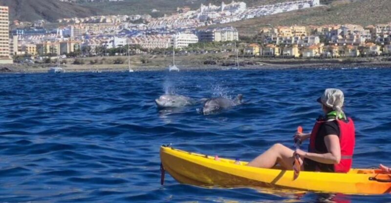 Tenerife: Kayak Safari and Sea Turtle Snorkeling with Photos - An In-Depth Look at the Kayak Safari Experience