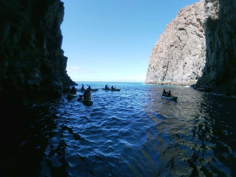 Tenerife: Kayak & Snorkel with Turtles & Dolphins w/Photos - A Deep Dive into the Tenerife Kayak & Snorkel Experience