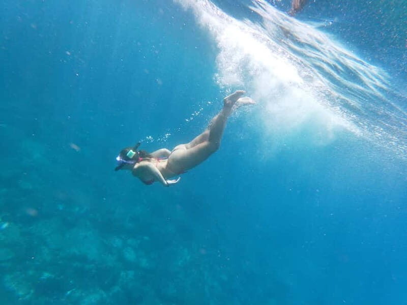 Tenerife: Kayak & Snorkel with Turtles & Dolphins w/Photos - Final Verdict