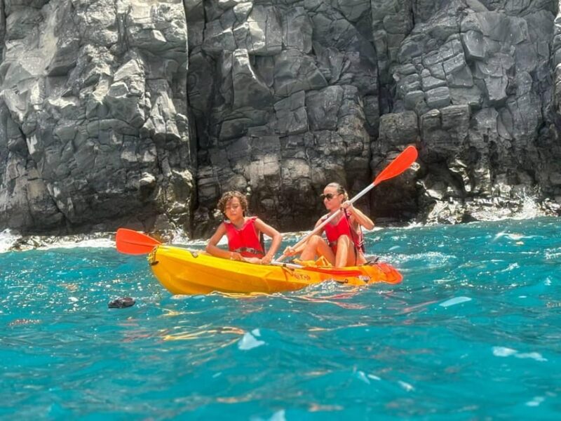 Tenerife: Kayak & Snorkeling, Marine Fauna Watching - Key Points