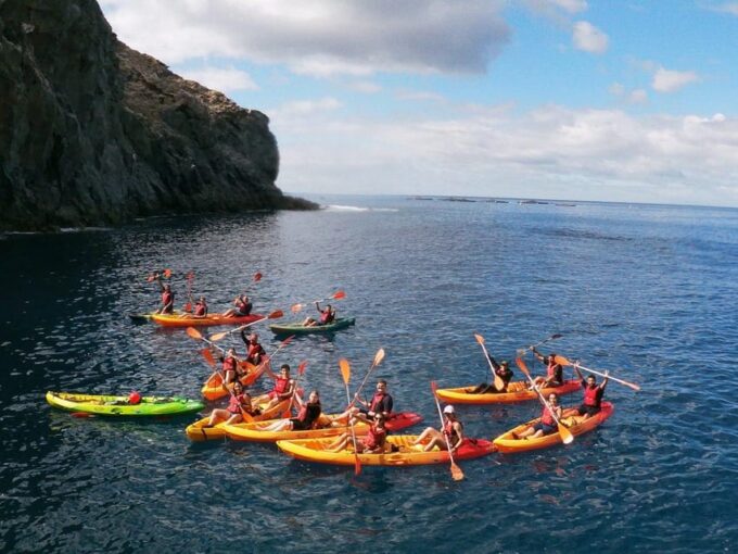 Tenerife: Kayak & Snorkeling, Marine Fauna Watching - Important Considerations
