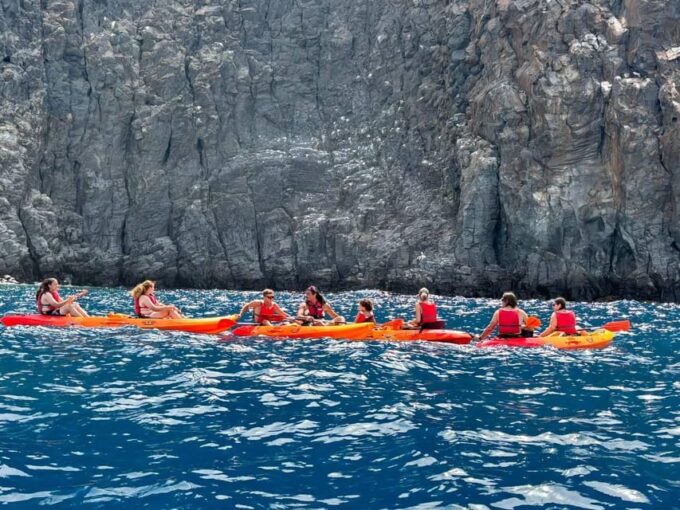 Tenerife: Kayak & Snorkeling, Marine Fauna Watching - Explore the Meeting Point