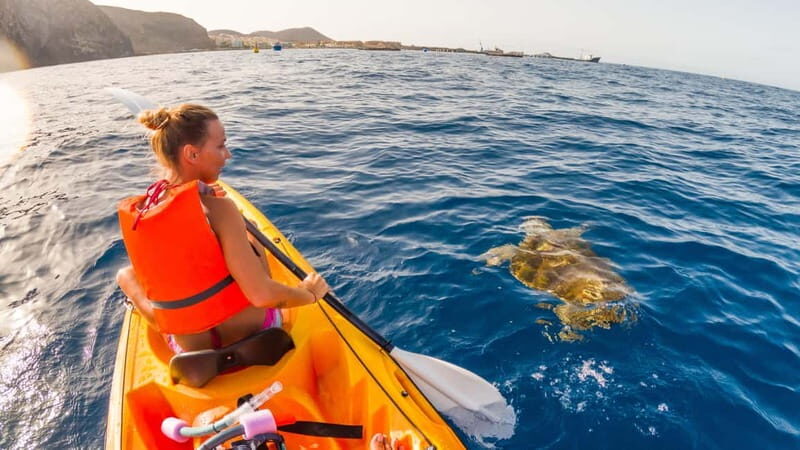 Tenerife: Kayak & Snorkeling Tour - Small Groups - Value for Money