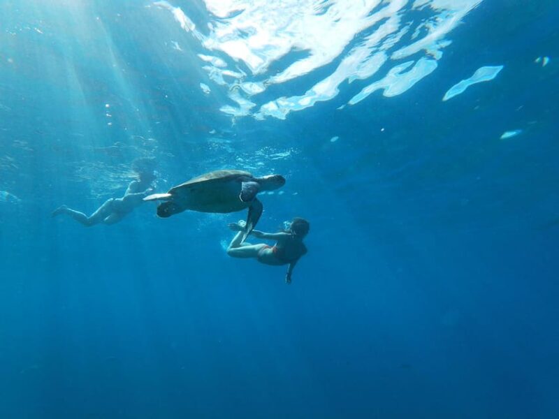 Tenerife: Kayaking and Snorkeling for Groups and Families - Key Points
